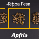 fotografia sobre conoces los diferentes tipos de granos para tu cafe expresso para portada de una categoria en una pagina web sobre cafe y cafe expresso y utiliza mucho el color oro b89634 y