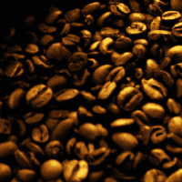 fotografia sobre los mejores granos de cafe para un cappuccino perfecto para portada de una categoria en una pagina web sobre cafe y cafe expresso y utiliza mucho el color oro b89634 y en menor med