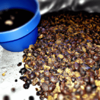 fotografia sobre origenes del cafe expresso guatemalteco un sabor autentico para portada de una categoria en una pagina web sobre cafe y cafe expresso y utiliza mucho el color oro b89634 y en meno