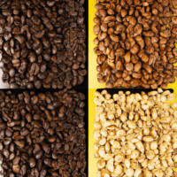 fotografia sobre variedades de granos para un cafe expresso perfecto para portada de una categoria en una pagina web sobre cafe y cafe expresso y utiliza mucho el color oro b89634 y en menor medida